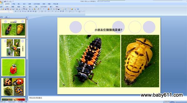 �׶�԰��ý��PPT�μ������ɰ���Сư�桷