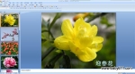 �׶�԰PPT��ý�壺��������俪��