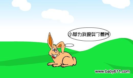 �׶�԰����FLASH�����μ�����������
