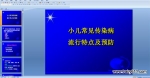 С��������Ⱦ���������ص���Ԥ�� PPT�μ�