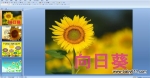 �׶�԰�а��ý��PPT�μ��������տ���