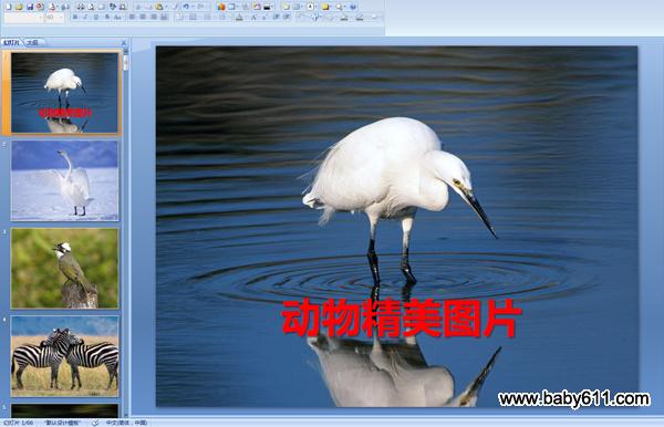 ���ָ����Ķ��ﾫ��ͼƬ PPT��ý��μ�