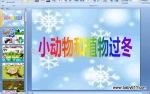�׶�԰PPT��ý�������μ���С�����ֲ�����