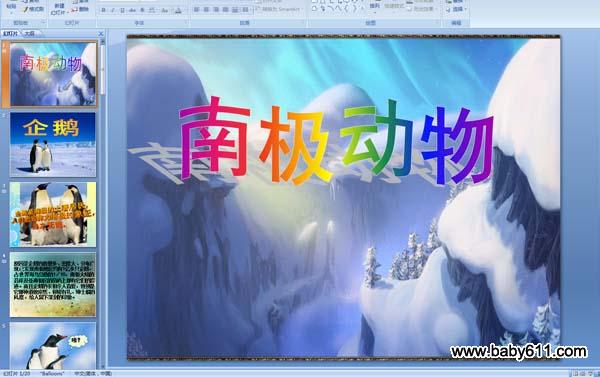 南极动物