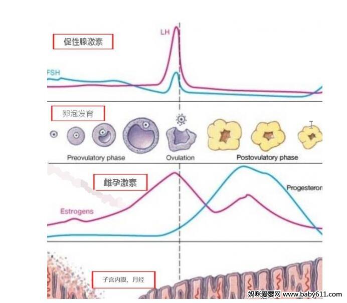 大龄如何备孕 大龄备孕的4个重要指标