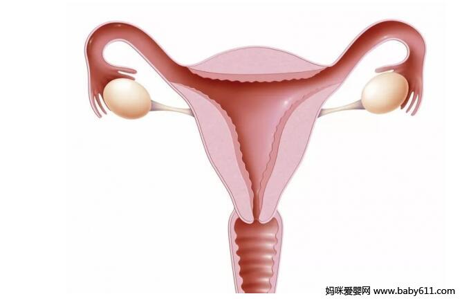 大龄如何备孕 大龄备孕的4个重要指标
